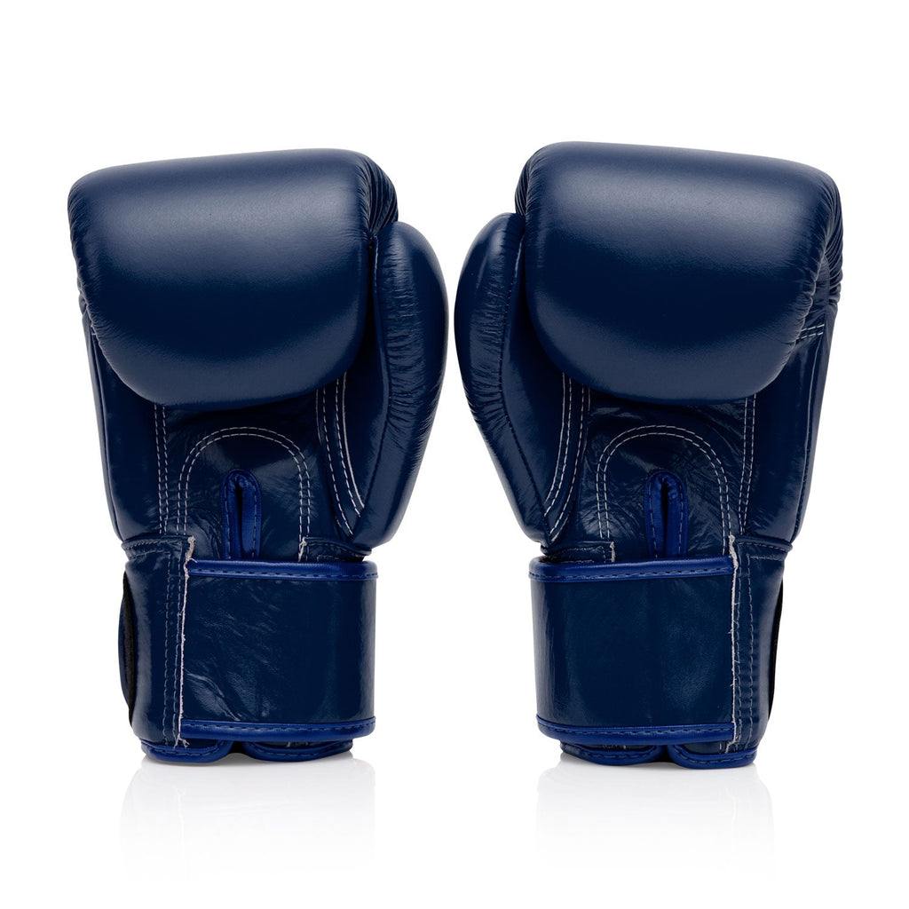 Fairtex Boxing Gloves BGV1 Blue