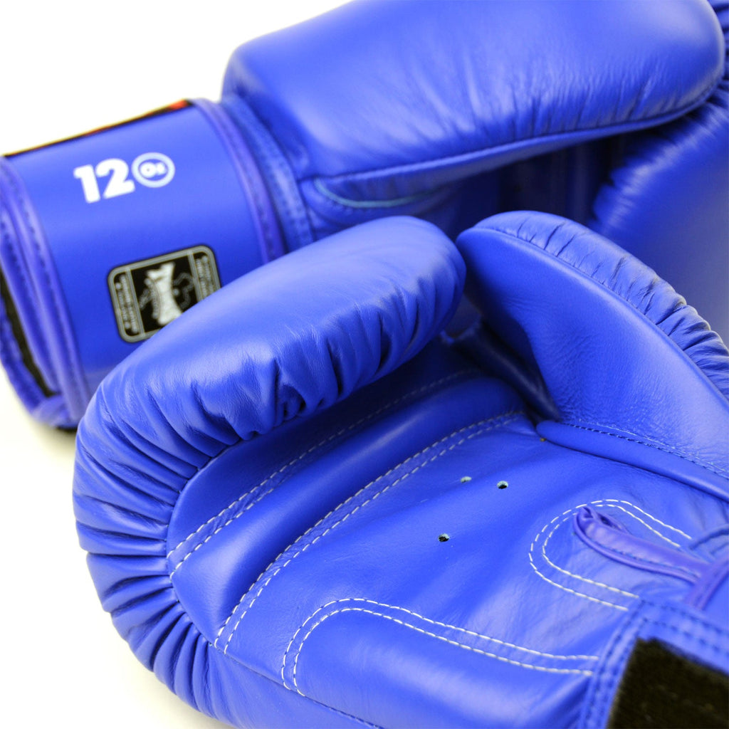 Twins Velcro Boxing Gloves Blue